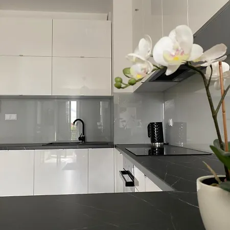 Apartamento Perfect Spot At Walowa / Center *